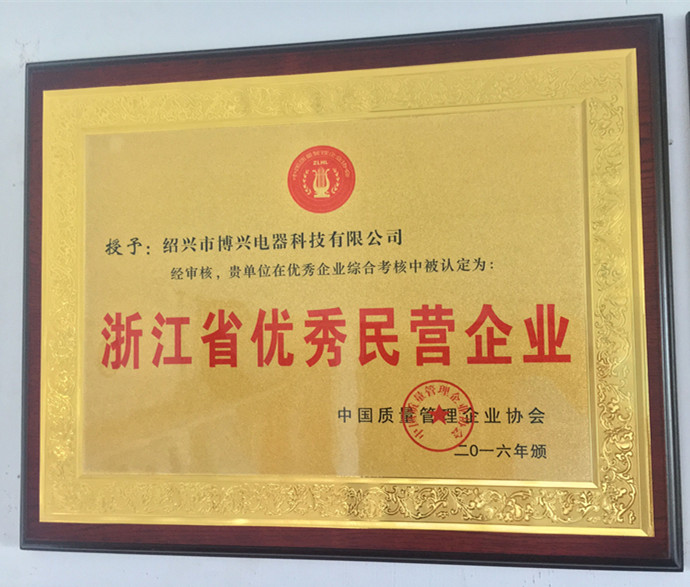 浙江省優(yōu)秀民營(yíng)企業(yè)