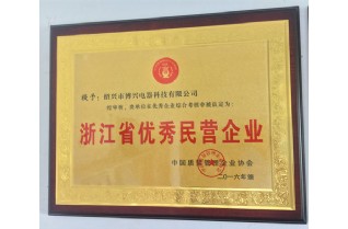 浙江省優(yōu)秀民營(yíng)企業(yè)